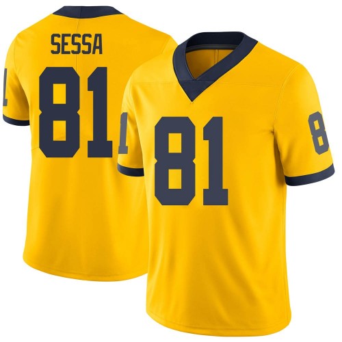 Will Sessa Michigan Wolverines Youth NCAA #81 Maize Limited Brand Jordan College Stitched Football Jersey HJF5054EP